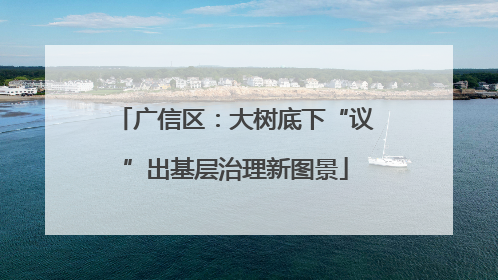 广信区：大树底下“议”出基层治理新图景